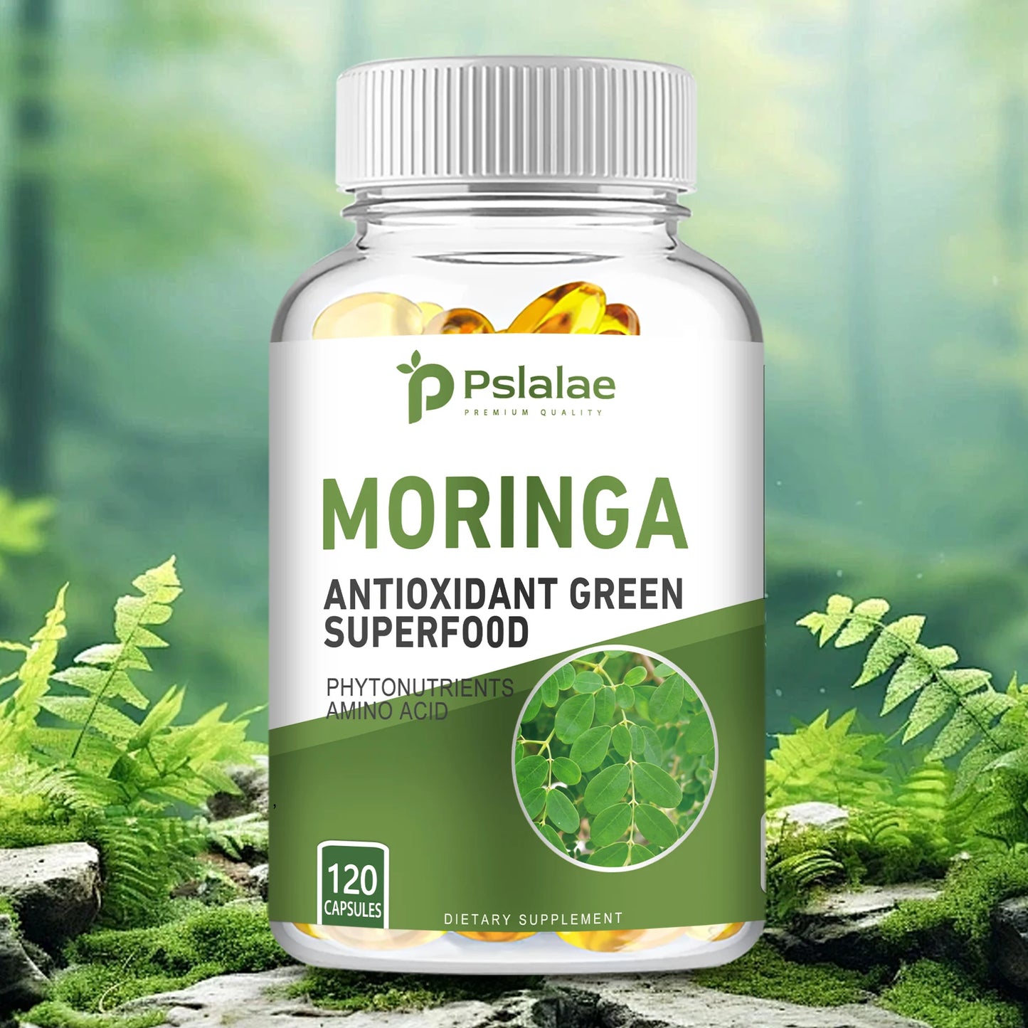 Moringa - Bone, Joint, Immune Health