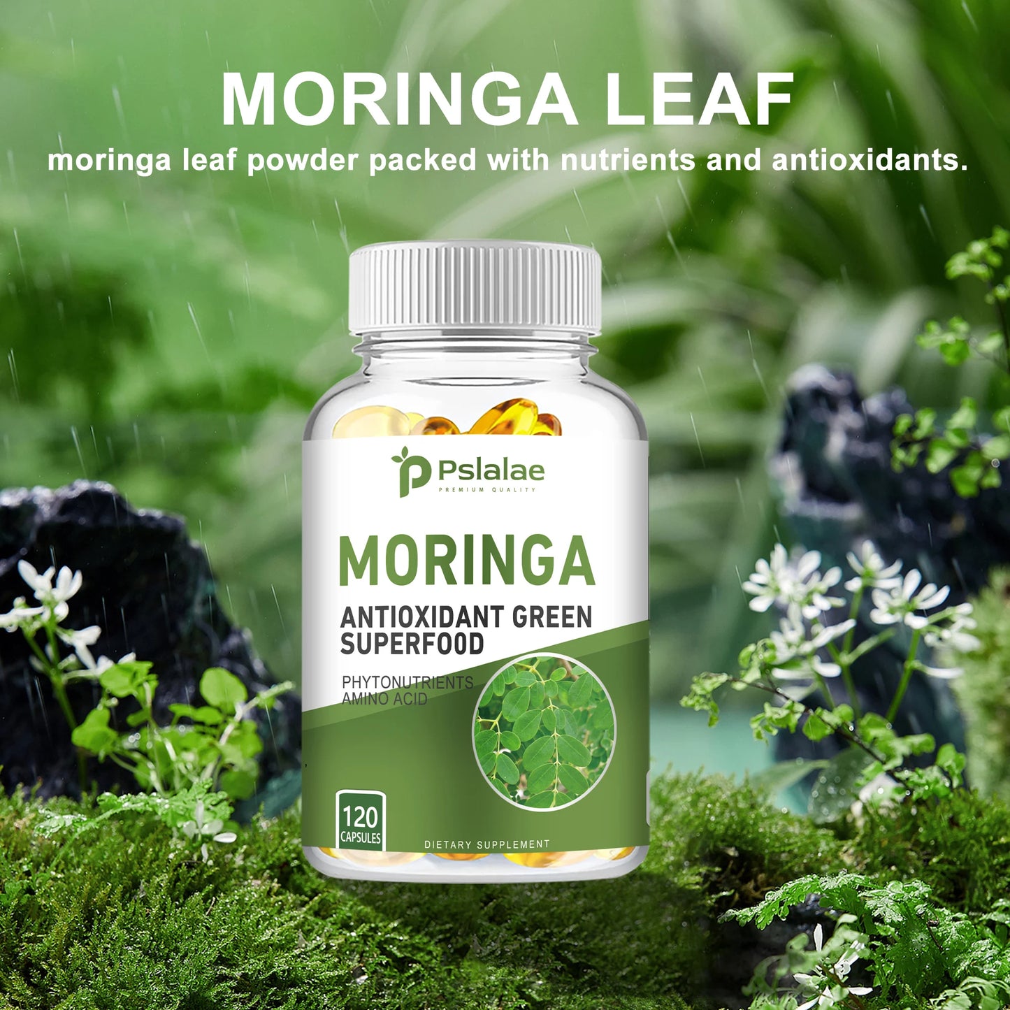 Moringa - Bone, Joint, Immune Health