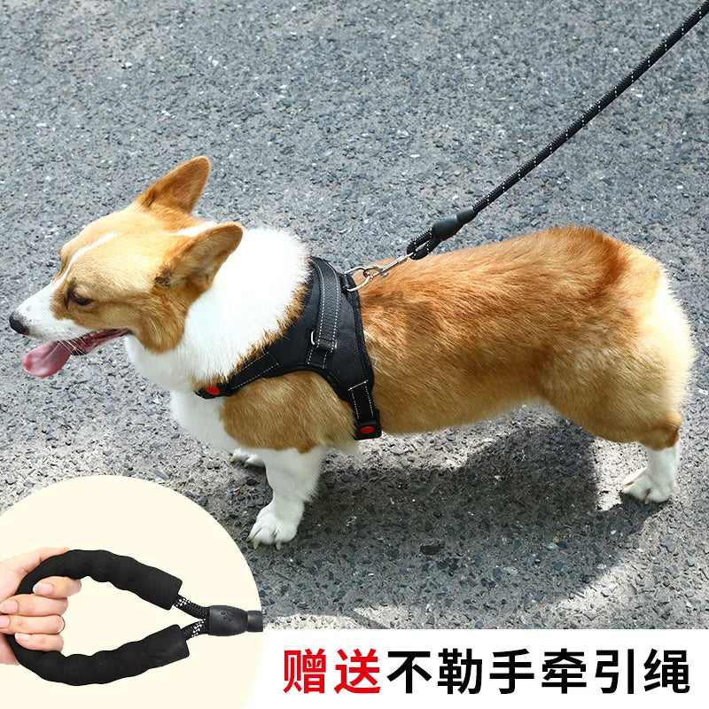 Dog Leash  walking rope