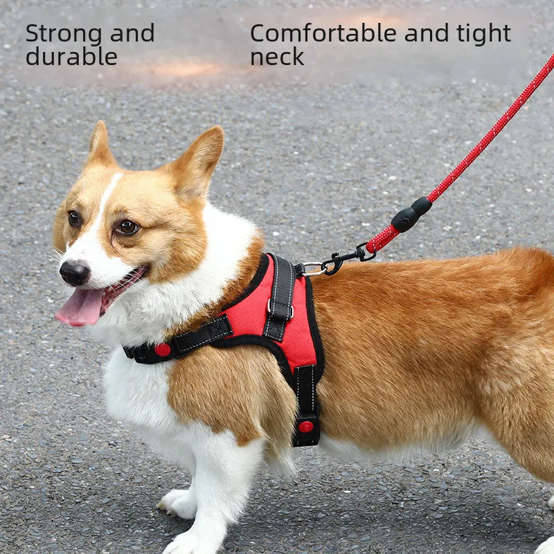 Dog Leash  walking rope