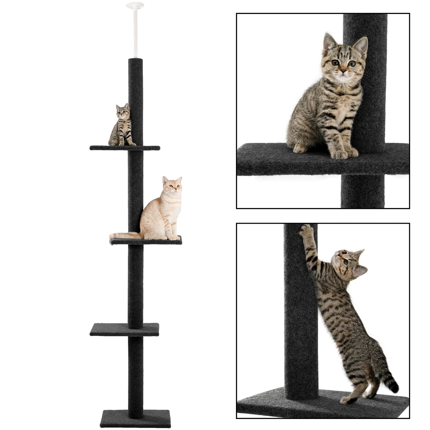 Cat Tree for Indoor, Adjustable Height