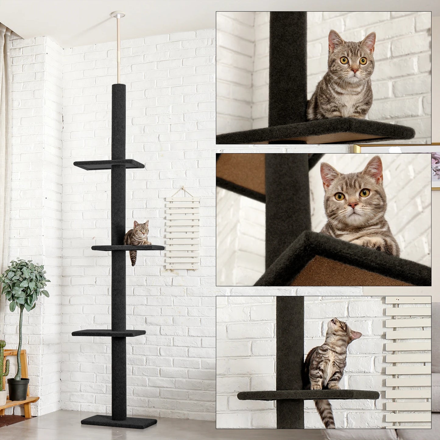 Cat Tree for Indoor, Adjustable Height