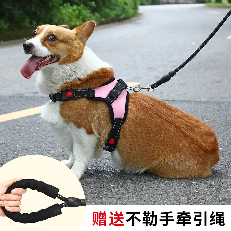 Dog Leash  walking rope