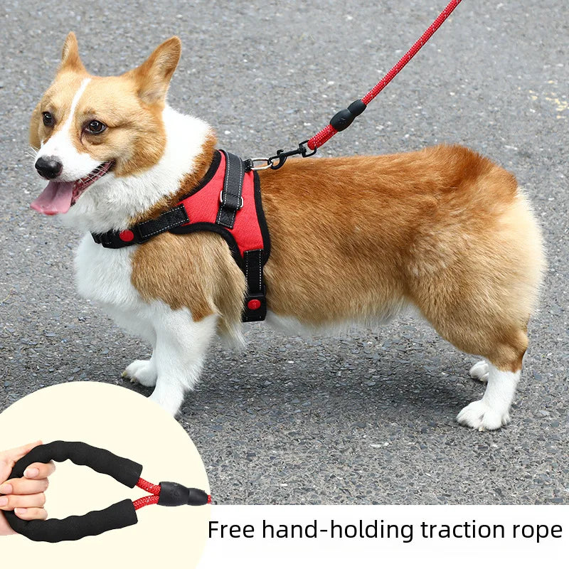 Dog Leash  walking rope