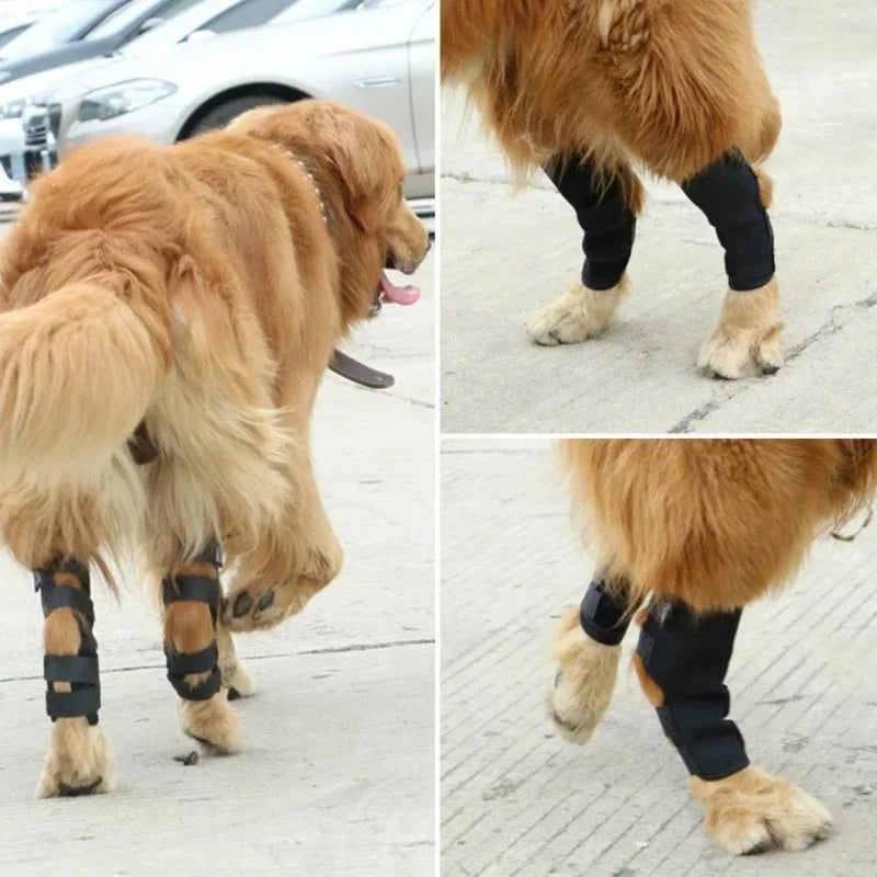 Pet Dog Bandages [ Leg Knee Brace Strap ]