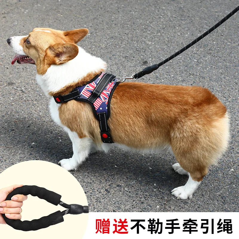 Dog Leash  walking rope